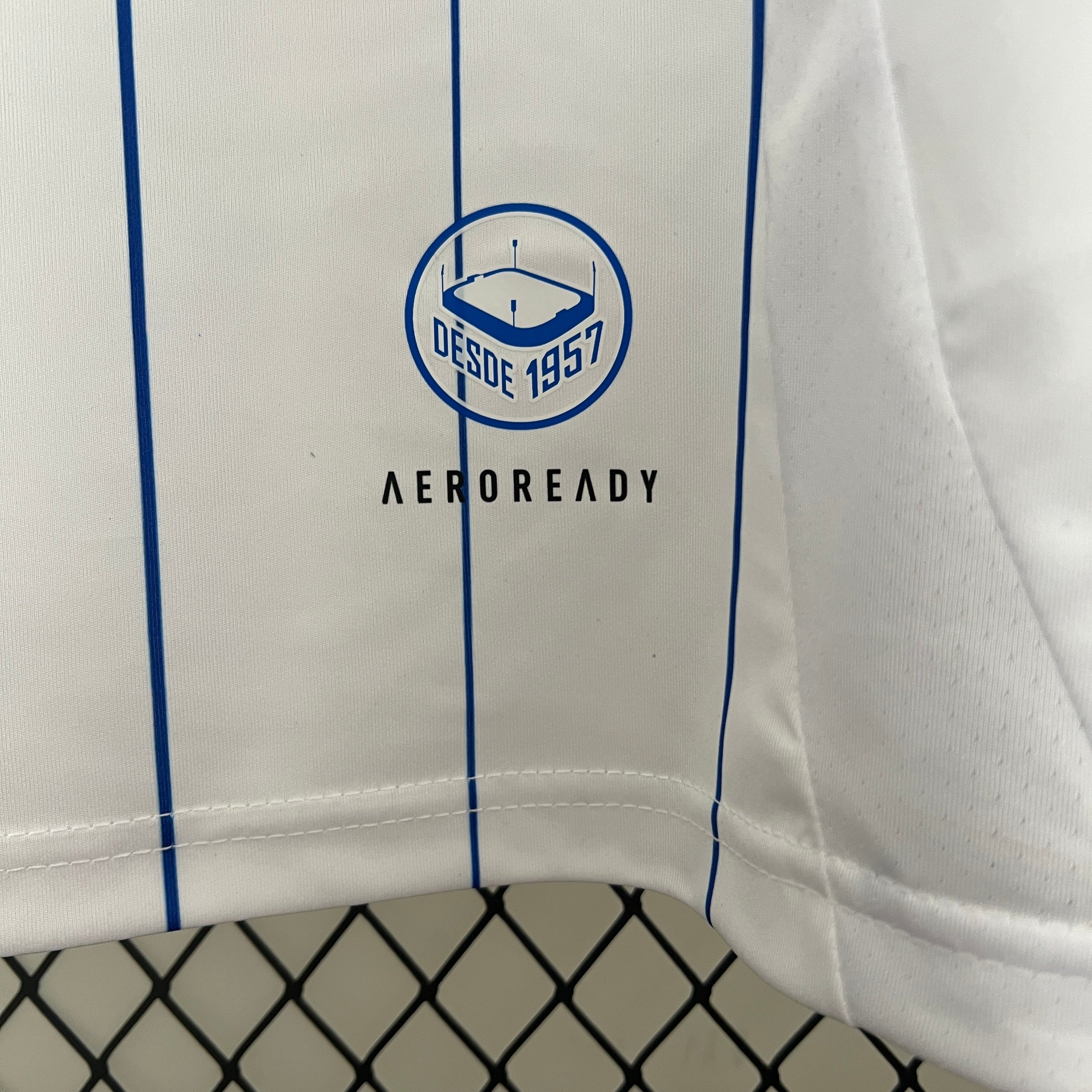 Zaragoza 24-25 Home Shirt Camiseta De Futbol
