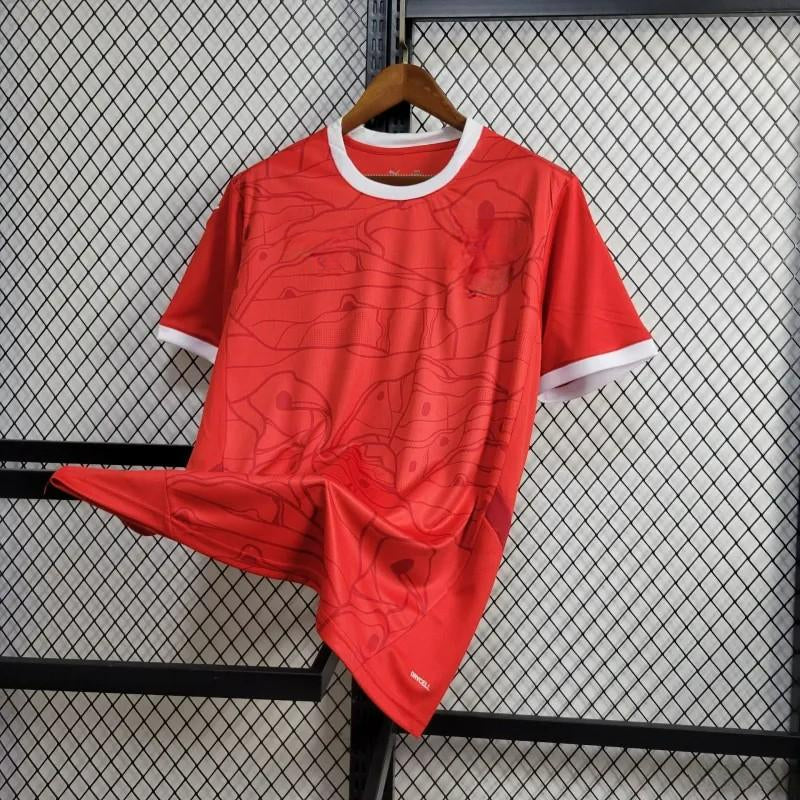 Austria 24-25 Home Eurocup 2024 Shirt Camiseta De Futbol