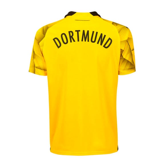 Borussia Dortmund 23-24 Special Edition Cup Shirt Camiseta De Futbol
