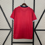 Norway 24-25 Home Eurocup 2024 Shirt Camiseta De Futbol