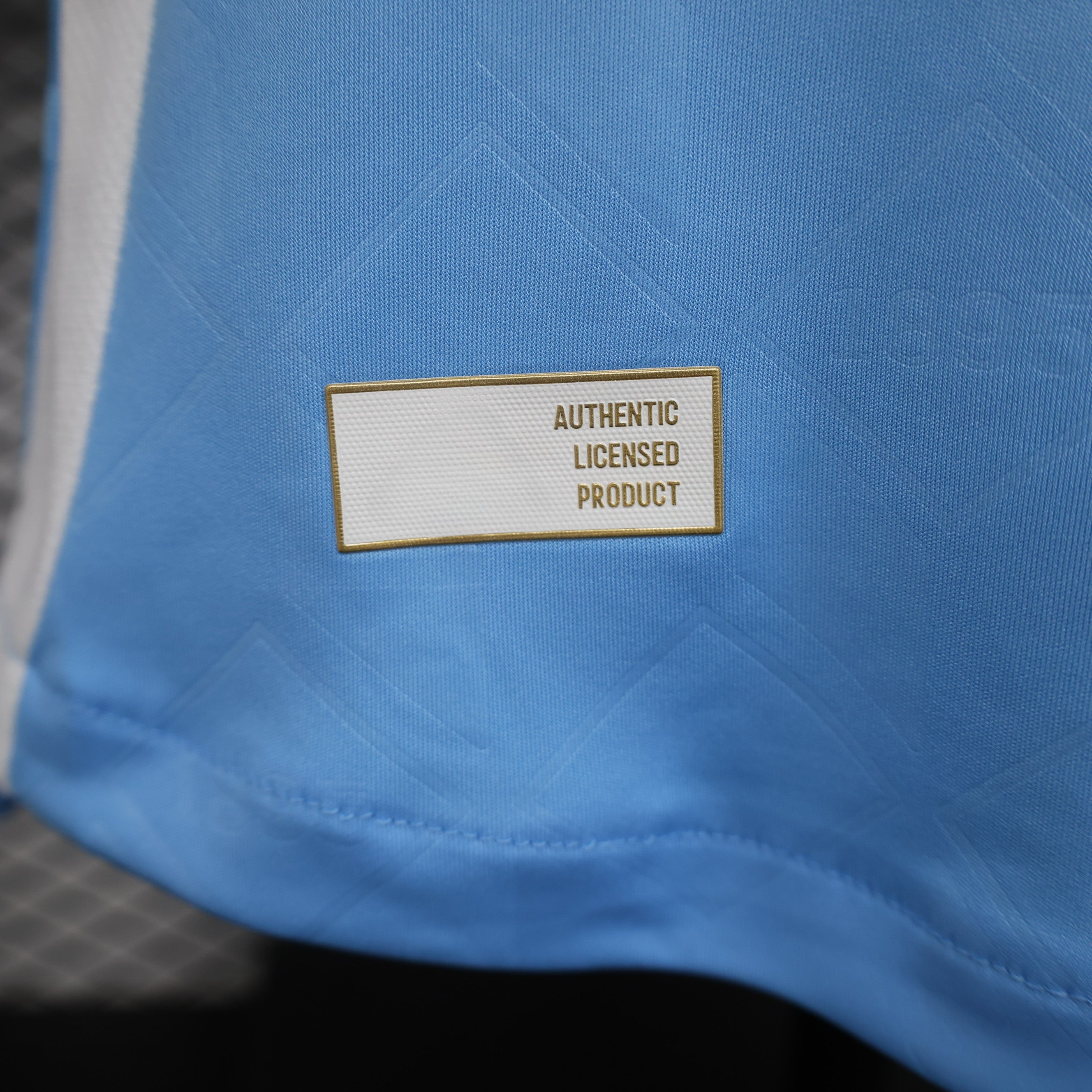 Belgium 24-25 Away (Player Version) Eurocup 2024 Shirt Camiseta De Futbol