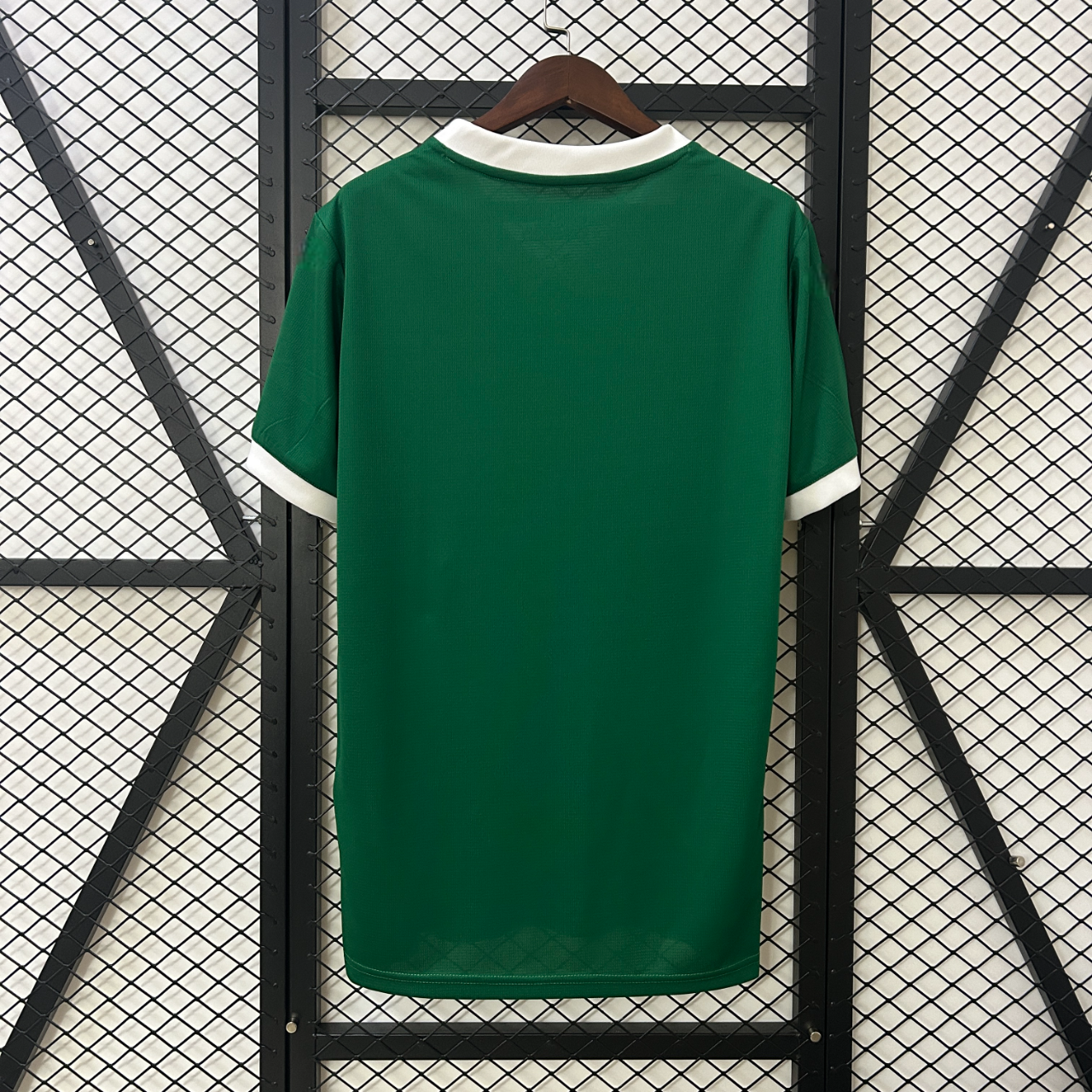 Camisola Palmeiras 25-26, Principal