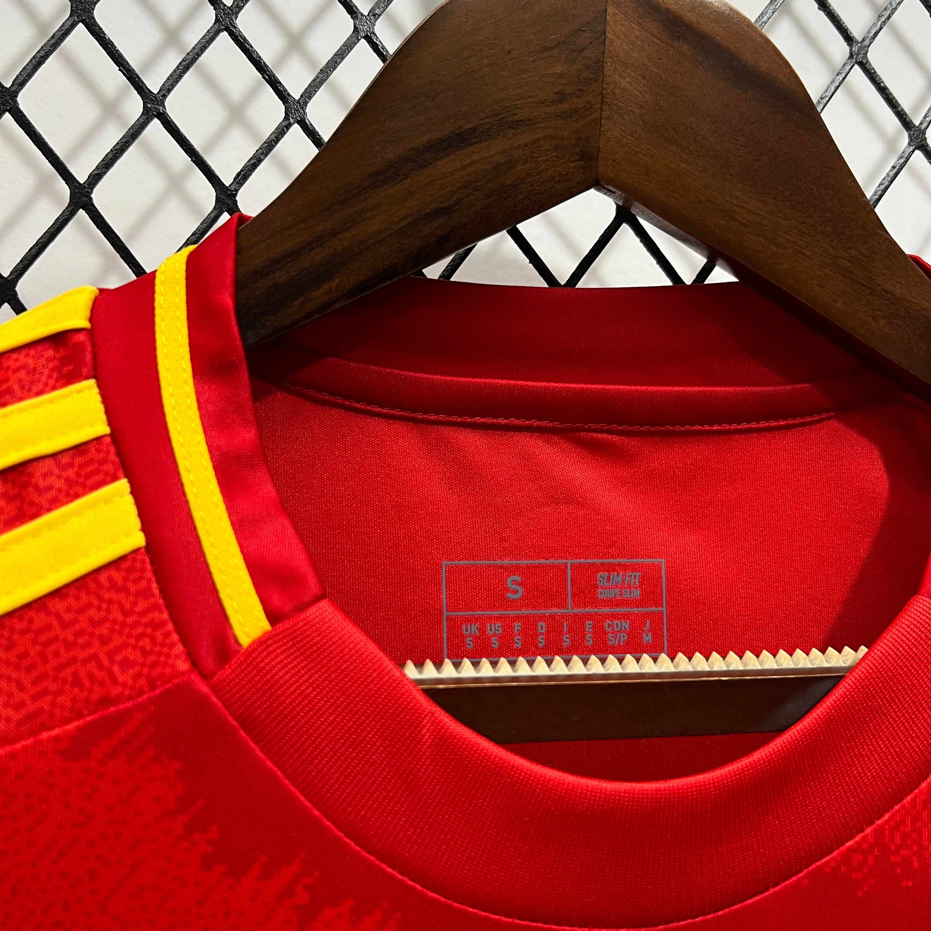 Spain 24-25 Home Eurocup 2024 Shirt Camiseta De Futbol