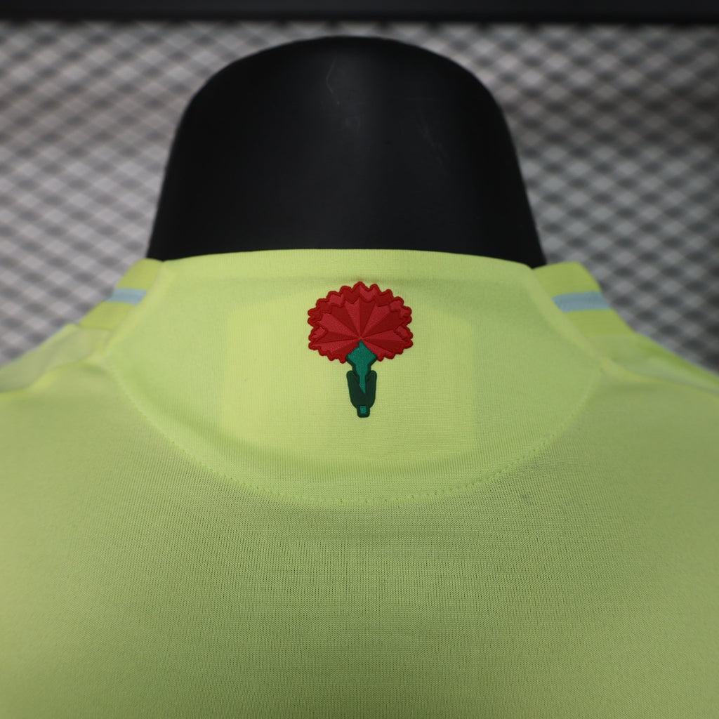 Spain 24-25 Away (Player Version) Eurocup 2024 Shirt Camiseta De Futbol