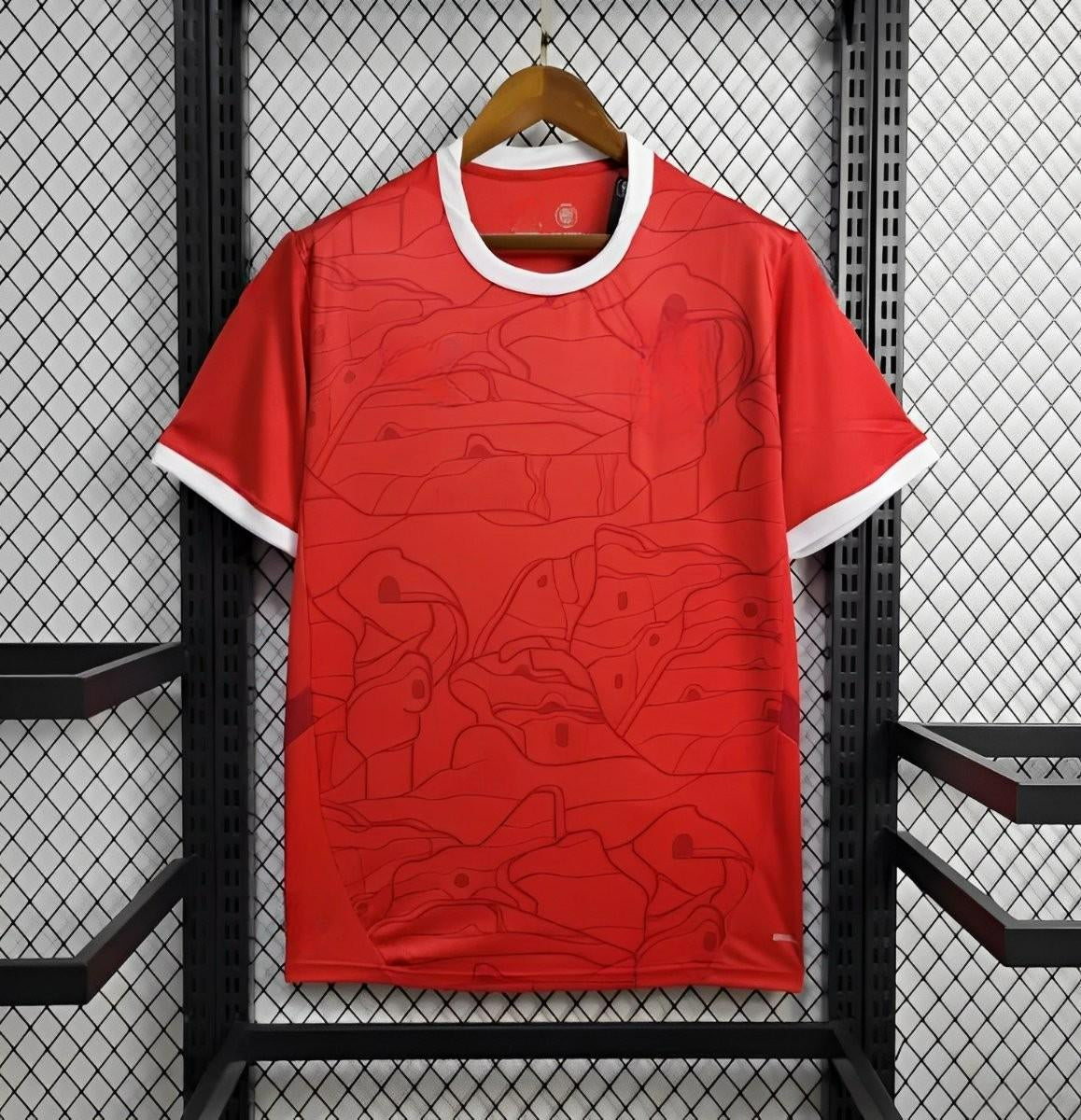 Austria 24-25 Home Eurocup 2024 Shirt Camiseta De Futbol