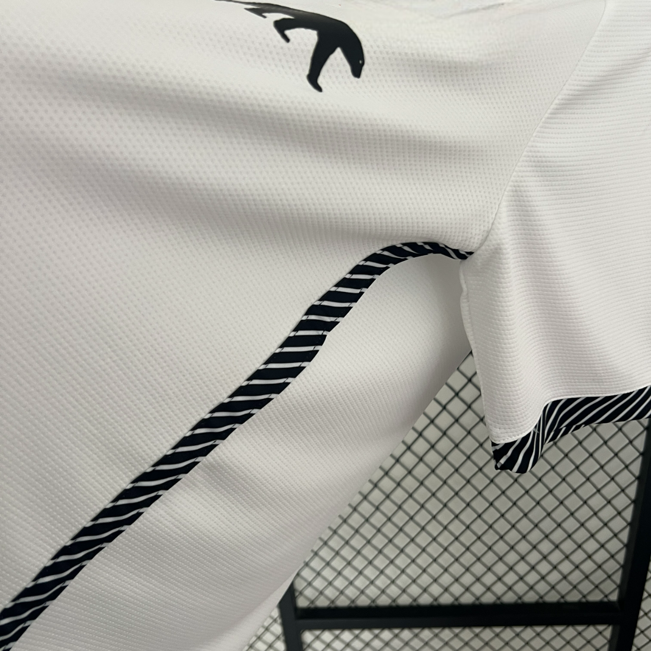Colo-Colo 24-25 Home Shirt Camiseta De Futbol