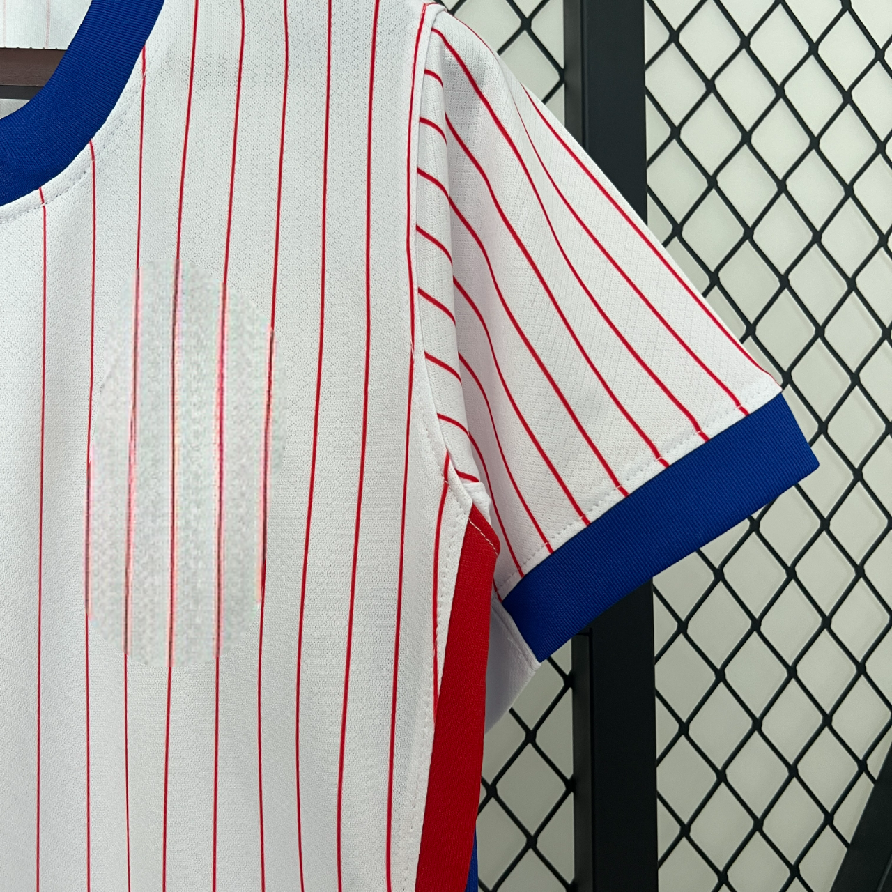 France 24-25 Away Women Eurocup 2024 Shirt Camiseta De Futbol