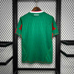 Mexico 2010 Home (Retro) Shirt Camiseta De Futbol