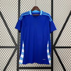 Argentina 24-25 Away Shirt Camiseta De Futbol