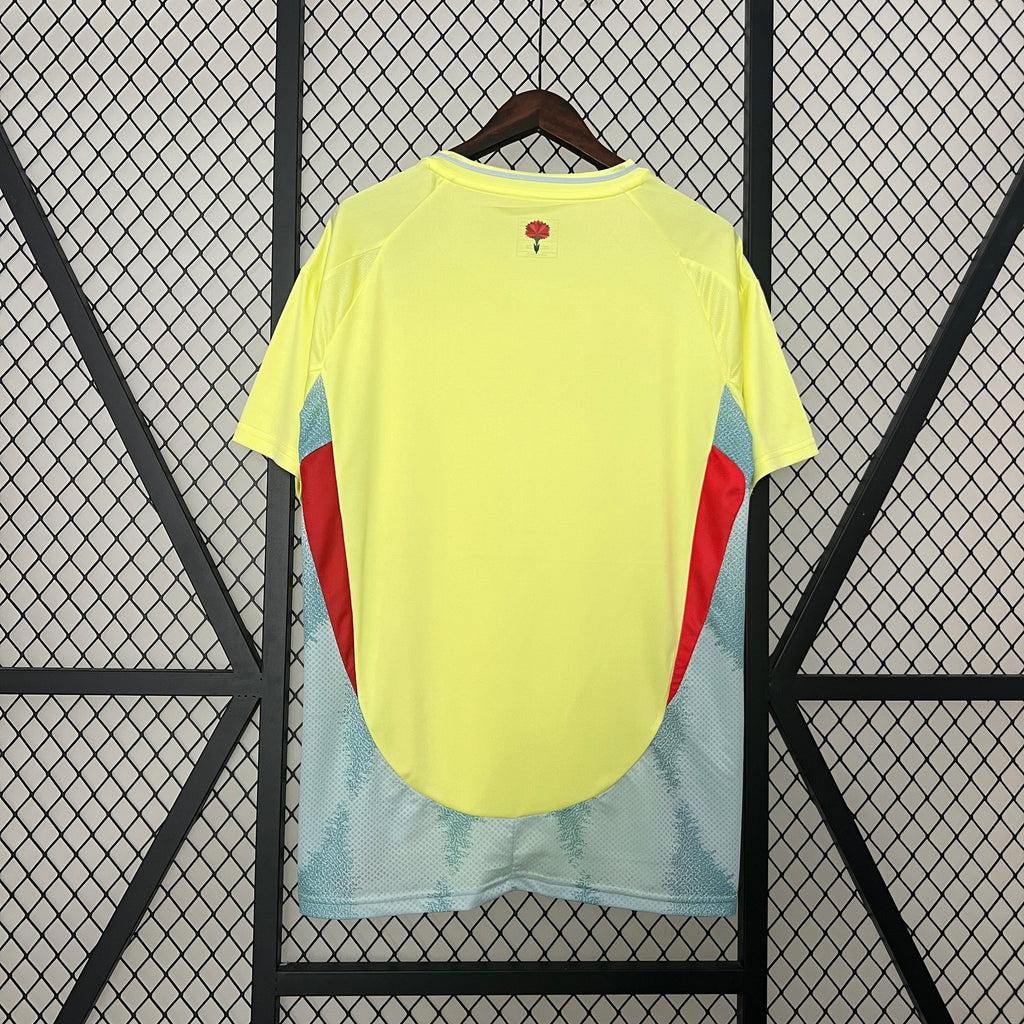 Spain 24-25 Away Eurocup 2024 Shirt Camiseta De Futbol