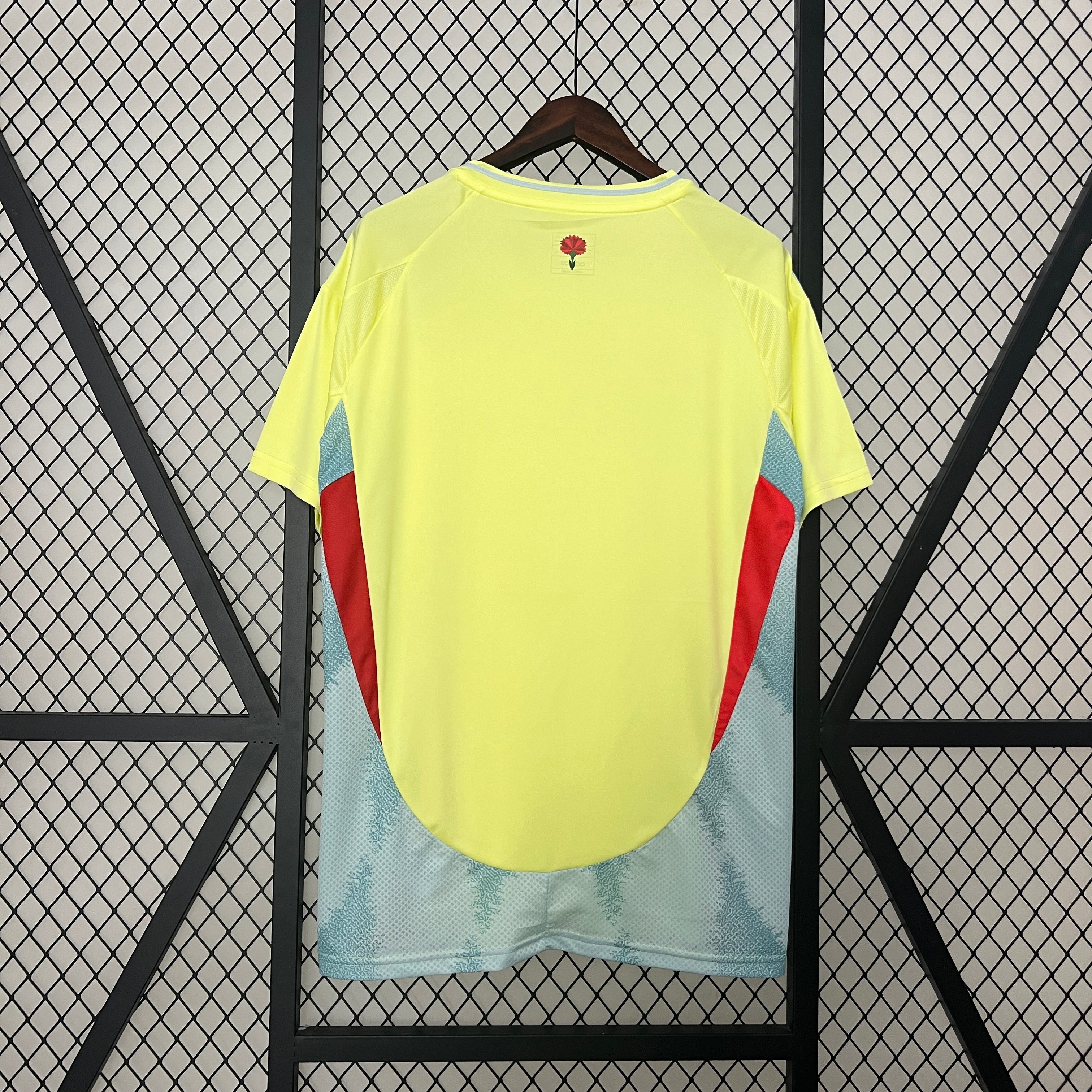 Spain 24-25 Away Eurocup 2024 Shirt Camiseta De Futbol