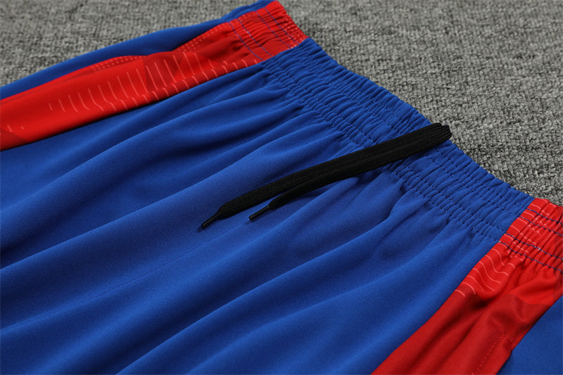 Japan 24-25 Half-Zip Model 1 Tracksuit Ropa Deportiva