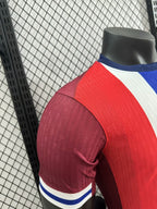 Norway 24-25 Home (Player Version) Eurocup 2024 Shirt Camiseta De Futbol