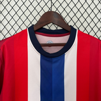 Norway 24-25 Home Eurocup 2024 Shirt Camiseta De Futbol