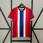 Norway 24-25 Home Eurocup 2024 Shirt Camiseta De Futbol