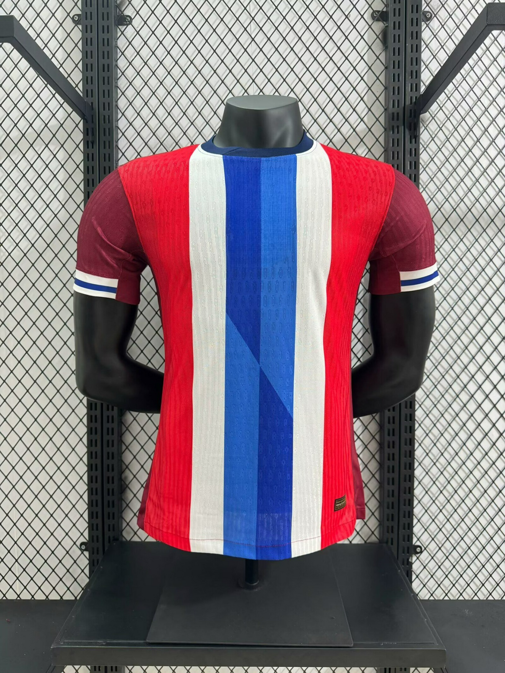 Norway 24-25 Home (Player Version) Eurocup 2024 Shirt Camiseta De Futbol