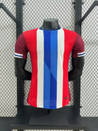 Norway 24-25 Home (Player Version) Eurocup 2024 Shirt Camiseta De Futbol
