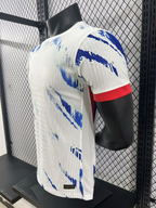 Norway 24-25 Away (Player Version) Eurocup 2024 Shirt Camiseta De Futbol