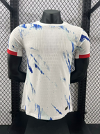 Norway 24-25 Away (Player Version) Eurocup 2024 Shirt Camiseta De Futbol